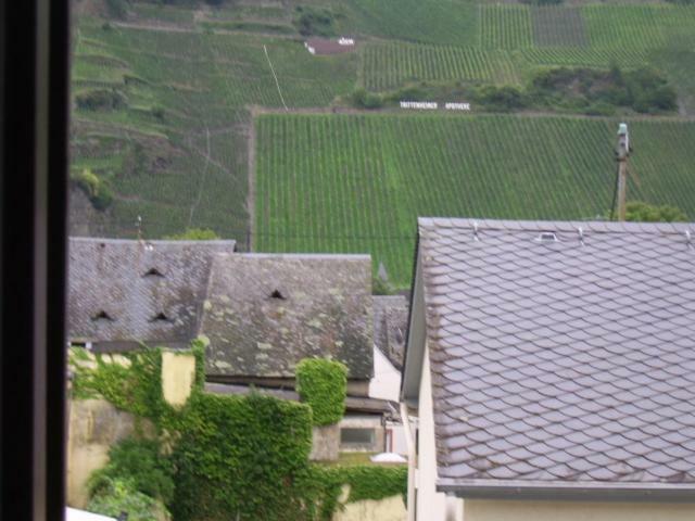 Ferienwohnung Bergblick Trittenheim Exterior foto