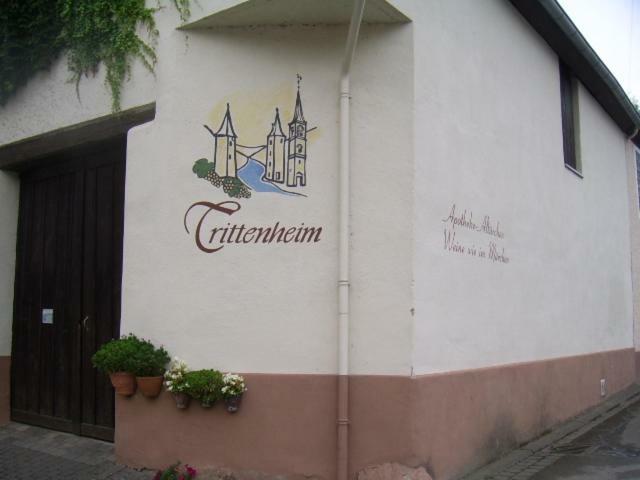 Ferienwohnung Bergblick Trittenheim Exterior foto
